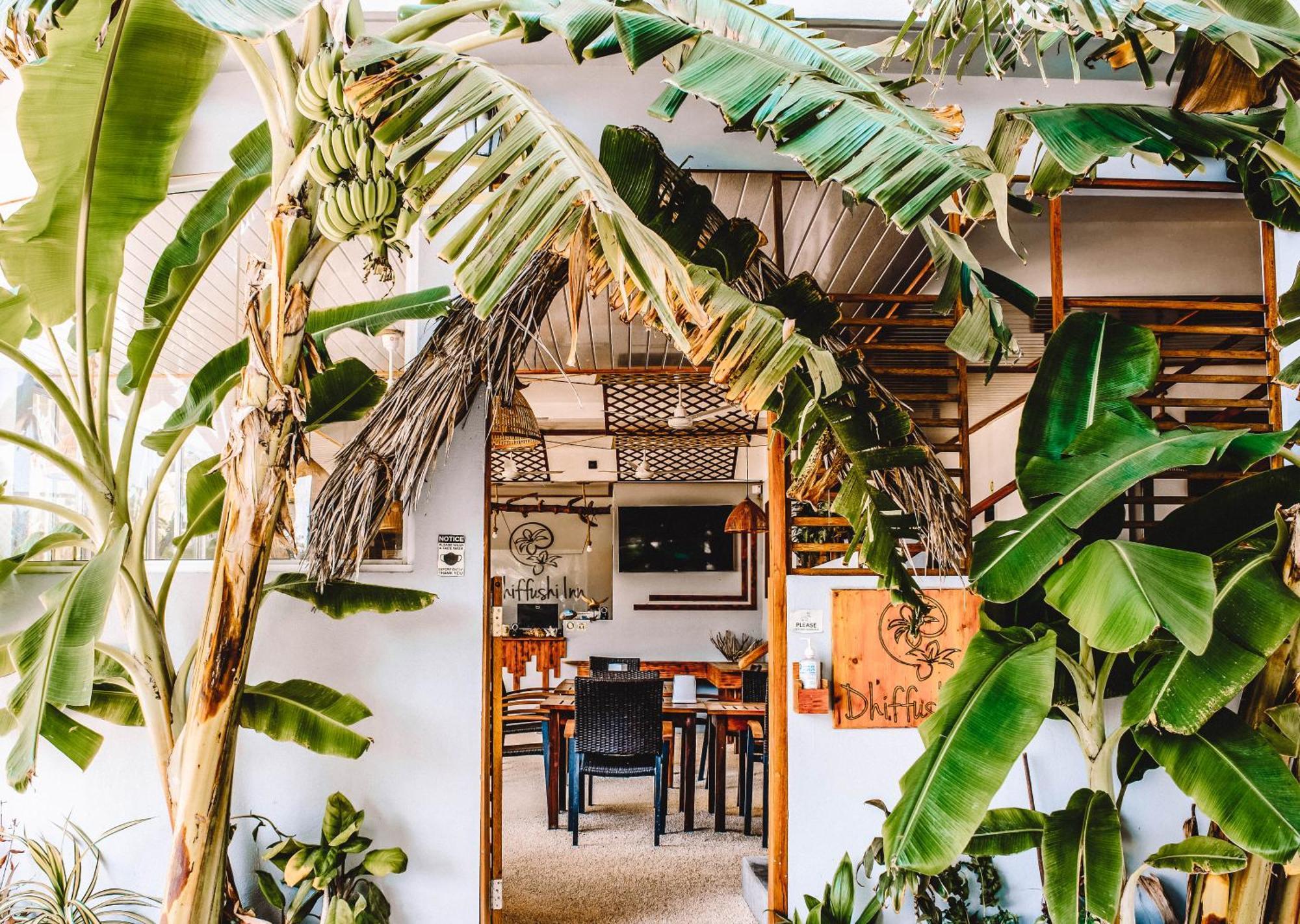 Dhiffushi Inn Buitenkant foto
